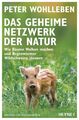 Das geheime Netzwerk der Natur Wie Bäume Wolken machen und Regenwürmer Wildschwe