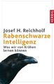 Rabenschwarze Intelligenz