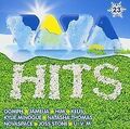 Viva Hits Vol.23 von Various | CD | Zustand sehr gut