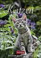 Katzen Kalender 2021: Wochenkalender mit Zitaten | Buch | Zustand sehr gut