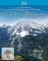 Wildes Bayern [Blu-ray] von Haft, Jan | DVD | Zustand sehr gut