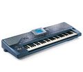 korg pa 800 Zu Verkaufen