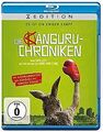 Die Känguru-Chroniken [Blu-ray] von Levy, Dani | DVD | Zustand akzeptabel