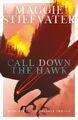 The Dreamer Trilogy 1. Call Down the Hawk | Maggie Stiefvater | Taschenbuch