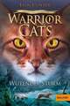 Warrior Cats - Vision von Schatten. Wütender Sturm Staffel VI, Band 6