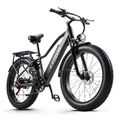 E Mountainbike 26 Zoll Elektrofahrrad 48V 20AH Damen/Herren Moped eBike 25km/h