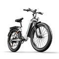 E-Bike 26 Zoll Damen Elektrofahrrad 1000W/48V Fatbike 840WH Pedelec eBike 25km/h