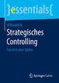 Strategisches Controlling | Gänzlich ohne Zahlen | Willibald Erk | Taschenbuch |