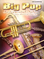 Big Pop Instrumental Solos Alto Sax Saxophone 66 Titel Noten für Altsaxophon