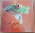 Glasbild Rotaugen Laubfrosch 30 x 30