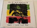 Big Mountain - Baby, I love your way - 1994 3 Track CD Single From Reality Bites