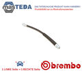 T 23 195 BREMSSCHLAUCH BREMSLEITUNG HINTEN BREMBO 2PCS FÜR FIAT SCUDO 2L,1.6L