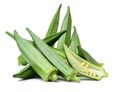 50 Samen Okra Gemüse Abelmoschus esculentus Vegetable Seeds Clemson Spineless