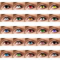 Kontaktlinsen, versch. Motive, 3-Monats-Linsen, ohne Sehstärke, für Halloween