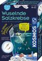 Fun Science Wuselnde Salzkrebse | Experimentierkasten | Deutsch | Spiel | 2019