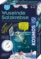 Fun Science Wuselnde Salzkrebse