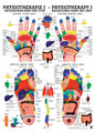 Reflexzonen von Rüdiger Anatomie