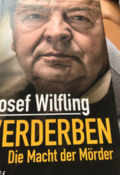 Verderben: Die Macht der Mörder von Wilfling, Josef | Buch | Zustand gut