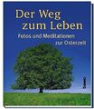 Der Weg zum Leben