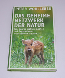 Das geheime Netzwerk der Natur . Förster Peter Wohlleben Wolf Ameise Borkenkäfer