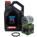 BMW R 850 1100 1150 1200 C CL GS R RT Öl Ölfilter HF163 Motul 3000 20w50 Motoröl