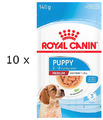 (EUR 17,82 / kg)  Royal Canin Medium Puppy in Soße, Welpenfutter (10 x 140 g)