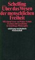 Philosophische Untersuchungen über das Wesen der me... | Buch | Zustand sehr gut