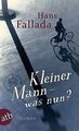 Kleiner Mann - was nun?: Roman von Fallada, Hans | Buch | Zustand akzeptabel