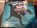 Unterwasserhunde von Seth Casteel (Hardcover, 2012)