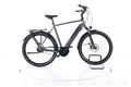 Raleigh BRISTOL XXL City E-Bike Elektrofahrrad Citybike Fahrrad Bosch 625Wh 28"