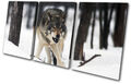 White Wolf Wild Snowy Woods Animals TREBLE Leinwand Kunst Bild drucken