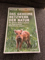 Peter Wohlleben: Das Geheime Netzwerk der Natur, kleines geb. Buch