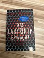 Das Labyrinth erwacht (1) von Rainer Wekwerth (2015, Taschenbuch)