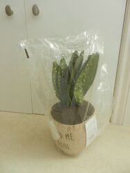 BNWT Next Cactus Door Stop New 'You Had Me At Aloe'