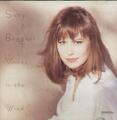 Suzy Bogguss - Stimmen im Wind - gebrauchte CD - L326z