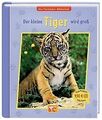 Die Tierkinder-Bibliothek 10 - Der kleine Tiger wir... | Buch | Zustand sehr gut