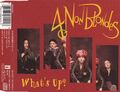 4 Non Blondes - What's Up (4 Track Maxi CD)