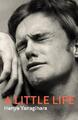 Hanya Yanagihara A Little Life (Gebundene Ausgabe)