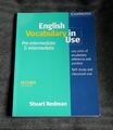 English Vocabulary in Use Pre-intermediate and Intermediate Book