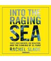 Into the Raging Sea: Thirty-Three Mariners, One Megastorm, and the Sinking of th