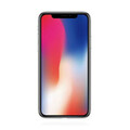 Apple iPhone X 256GB Space Grau *TOP* MwSt nicht ausweisbar