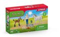 SCHLEICH 42486 FARM WORLD ARZTBESUCH BEI STUTE UND FOHLEN NEU OVP