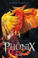 Der Fluch des Phönix: Atmosphärischer Fantasy-Pageturner für Kinder ab 1321915-2