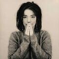 Björk - Debut - Bjork CD CJVG The Cheap Fast Free Post