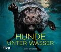 Hunde unter Wasser