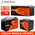 WERCHTAY 12V/24V 50Ah 100Ah 200Ah 300Ah LiFePO4 Lithium Batterie BMS Akku 2PC