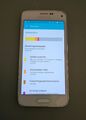 Samsung  Galaxy S5 Mini SM-G800F - 16GB - Weiß - Gold (Ohne Simlock) Smartphone