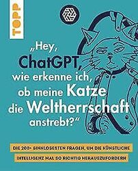 "Hey, ChatGPT, wie erkenne ich, ob meine Katze die ... | Buch | Zustand sehr gutGeld sparen & nachhaltig shoppen!