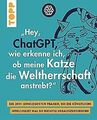 "Hey, ChatGPT, wie erkenne ich, ob meine Katze die ... | Buch | Zustand sehr gut