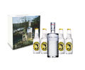 Gin Tonic Set Giftbox Geschenkset - The Botanist Islay Dry Gin 0,7l 700ml (46% 